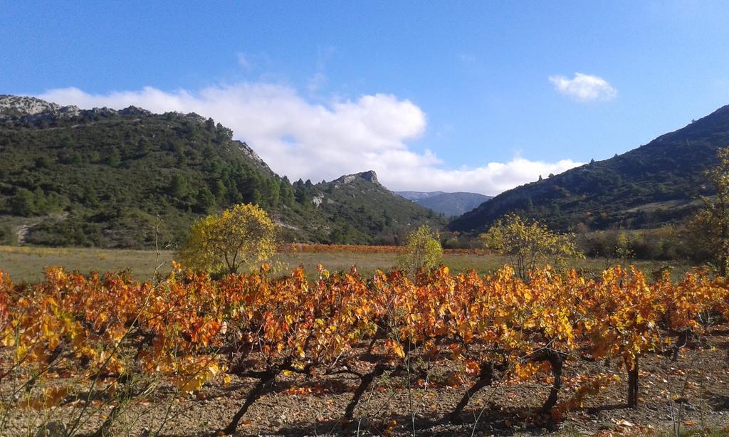 Au Paradis Cathare Fraissé-des-Corbières